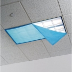 Light Sensitivity