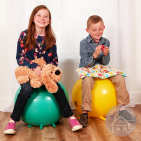 Sensorimotor Groups